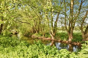 Photo 7- click for photo gallery